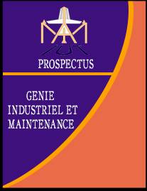 Formation Génie Industriel et Maintenance